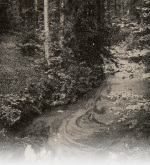 Rylov-1929-435: Details Image preview