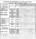 Schroeter-1897-9: Detailansicht Bildvorschau