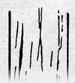 Steinbrinck-1925-7b: Details Image preview