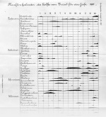 Steuer-1902-370-1: Details Image preview