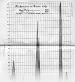 Steuer-1902-372: Details Image preview