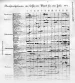 Steuer-1904-129: Details Image preview