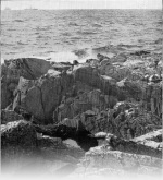 Thienemann+Kieffer-1912-2: Details Image preview