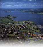 Thorbecke-1985-123: Details Image preview