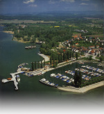 Thorbecke-1985-63: Details Image preview