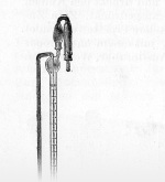 Wundsch-1927-349: Details Image preview