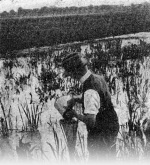 Wundsch-1927-380: Details Image preview