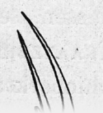 Zavrel-1921-65: Details Image preview