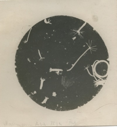Detailed view of the current image