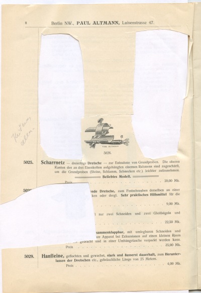 Detailed view of the current image