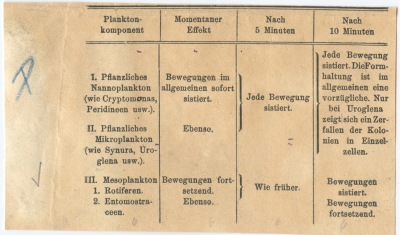 Detailansicht des aktuellen Bildes