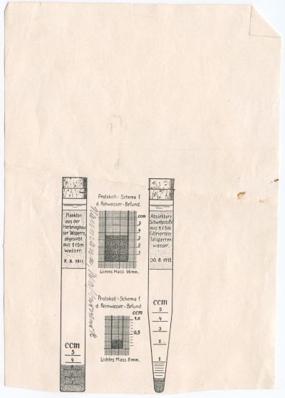 Detailed view of the current image