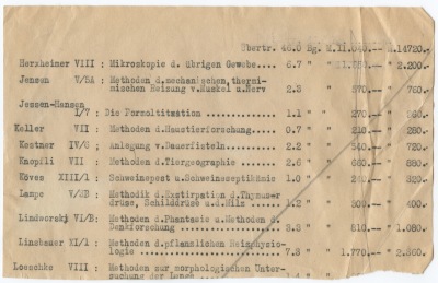 Detailansicht des aktuellen Bildes