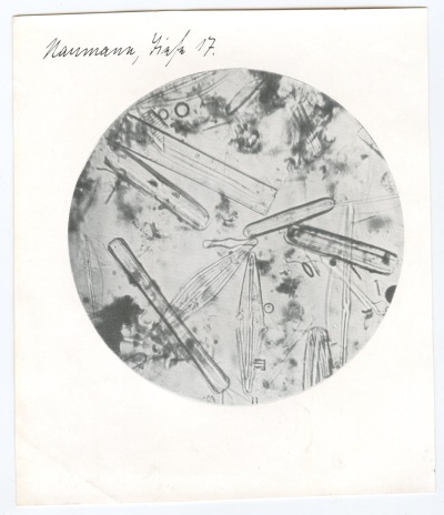 Detailed view of the current image