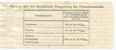 Detailansicht des aktuellen Bildes