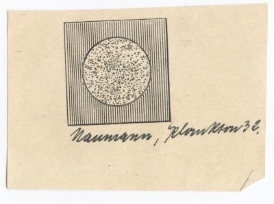 Detailed view of the current image