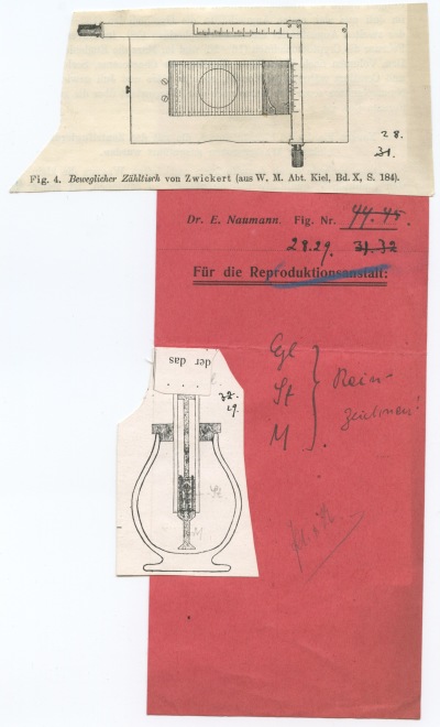 Detailed view of the current image
