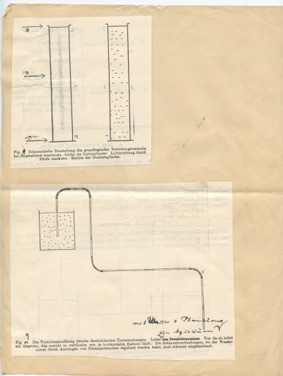 Detailed view of the current image