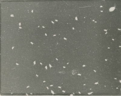 Detailed view of the current image