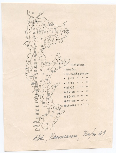 Detailed view of the current image