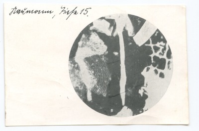 Detailed view of the current image