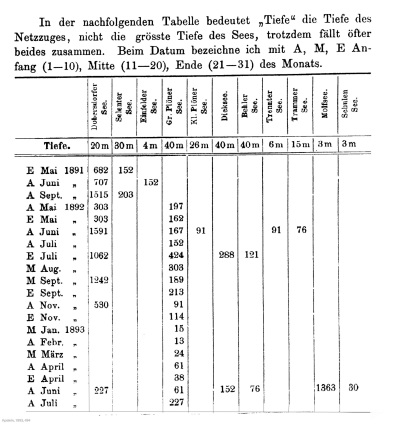 Detailansicht des aktuellen Bildes