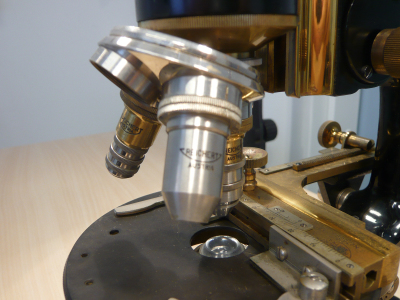 Detailed view of the current image