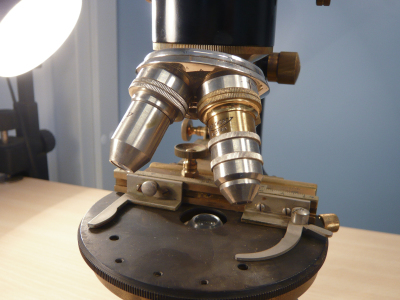 Detailed view of the current image