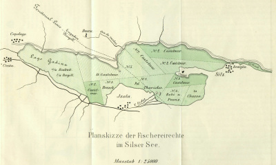 Detailed view of the current image