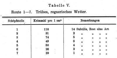 Detailansicht des aktuellen Bildes