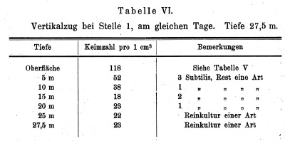 Detailansicht des aktuellen Bildes