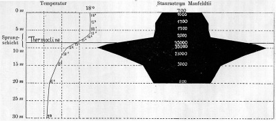 Detailansicht des aktuellen Bildes