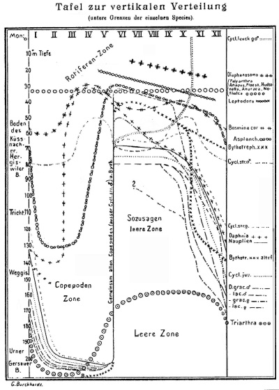 Detailed view of the current image