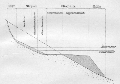 Detailed view of the current image