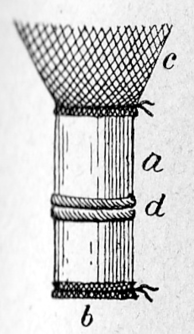 Detailansicht des aktuellen Bildes