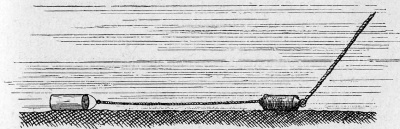 Detailed view of the current image