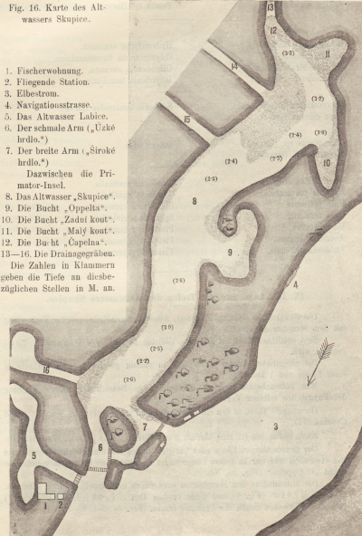 Detailed view of the current image