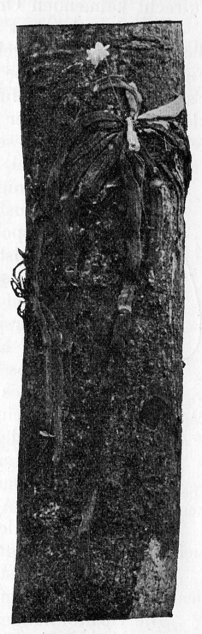 Detailed view of the current image