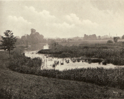 Detailed view of the current image