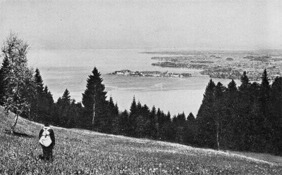 Detailed view of the current image