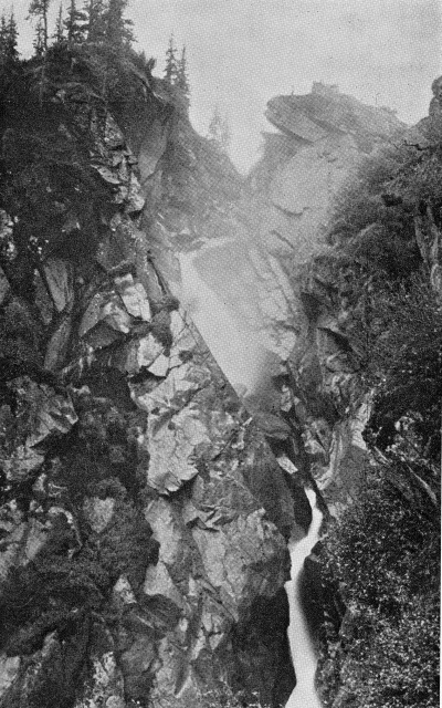 Detailed view of the current image