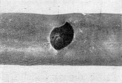 Detailed view of the current image