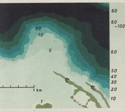 Detailed view of the current image