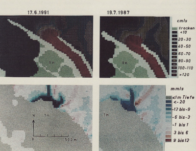 Detailed view of the current image