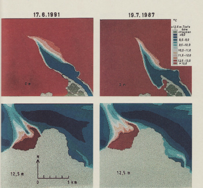 Detailed view of the current image