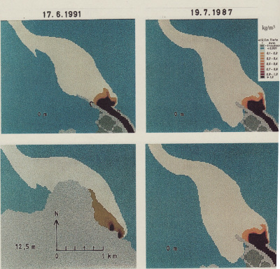 Detailed view of the current image