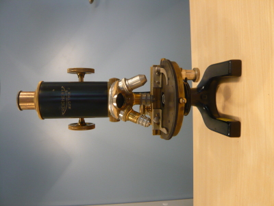 Detailed view of the current image