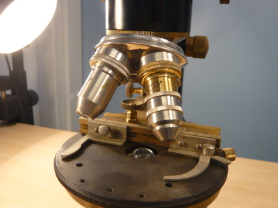 Detailed view of the current image