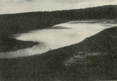 Detailed view of the current image