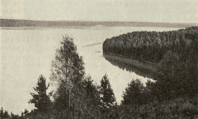 Detailed view of the current image